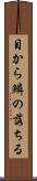 目から鱗の落ちる Scroll