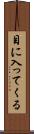 目に入ってくる Scroll