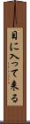 目に入って来る Scroll