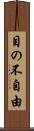 目の不自由 Scroll