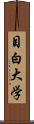 目白大学 Scroll