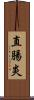 直腸炎 Scroll