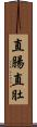 直腸直肚 Scroll