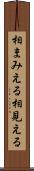 相まみえる Scroll