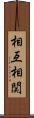 相互相関 Scroll