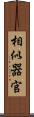 相似器官 Scroll