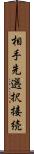 相手先選択接続 Scroll