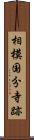 相模国分寺跡 Scroll