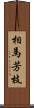 相馬芳枝 Scroll