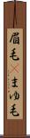 眉毛(P) Scroll
