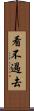 看不過去 Scroll