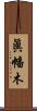 眞幡木 Scroll