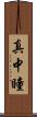 真中瞳 Scroll