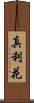 真利花 Scroll
