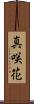 真咲花 Scroll