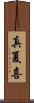 真夏喜 Scroll