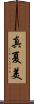 真夏美 Scroll