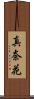 真奈花 Scroll