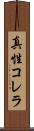 真性コレラ Scroll