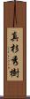 真杉秀樹 Scroll