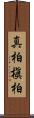 真柏 Scroll