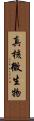 真核微生物 Scroll