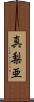 真梨亜 Scroll