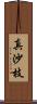 真沙枝 Scroll