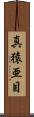 真猿亜目 Scroll