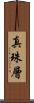真珠層 Scroll