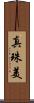 真珠美 Scroll