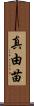 真由苗 Scroll
