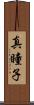 真瞳子 Scroll