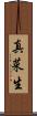 真菜生 Scroll