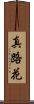 真路花 Scroll