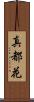 真都花 Scroll