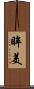 眸美 Scroll