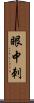 眼中刺 Scroll