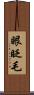 眼眨毛 Scroll