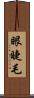 眼睫毛 Scroll