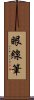 眼線筆 Scroll