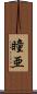瞳亜 Scroll