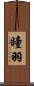 瞳羽 Scroll