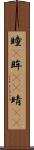 瞳(P) Scroll