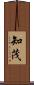 知茂 Scroll