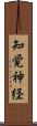 知覚神経 Scroll