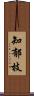 知郁枝 Scroll