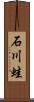 石川蛙 Scroll