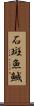 石斑魚 Scroll