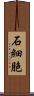 石細胞 Scroll